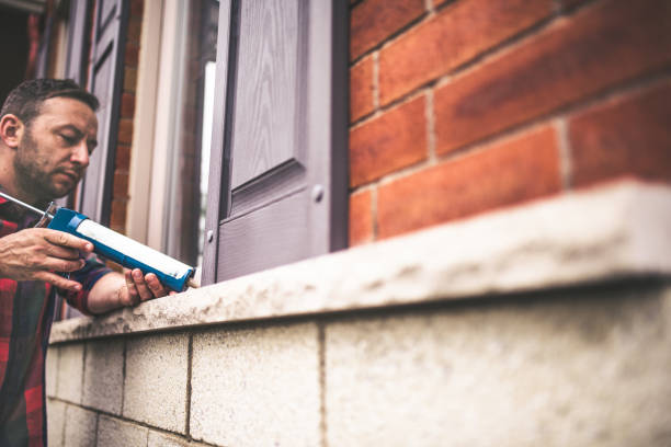 Best Professional Insulation Contractor  in North Puyallup, WA